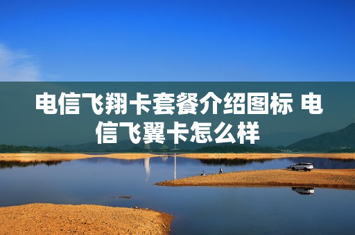 电信飞翔卡套餐介绍图标 电信飞翼卡怎么样