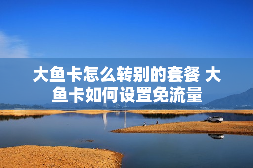 大鱼卡怎么转别的套餐 大鱼卡如何设置免流量