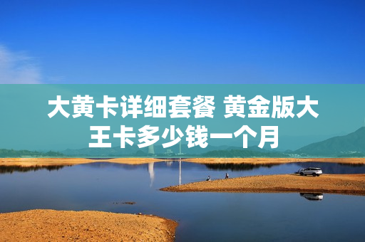 大黄卡详细套餐 黄金版大王卡多少钱一个月