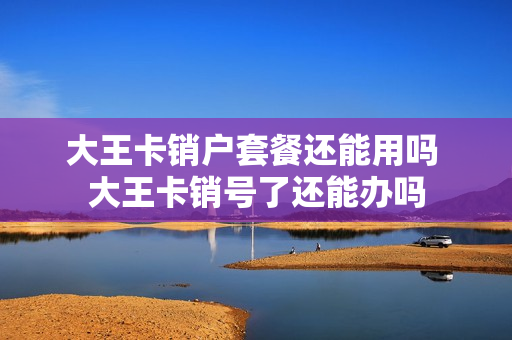 大王卡销户套餐还能用吗 大王卡销号了还能办吗