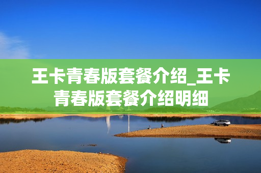 王卡青春版套餐介绍_王卡青春版套餐介绍明细