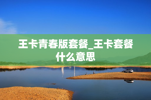 王卡青春版套餐_王卡套餐什么意思