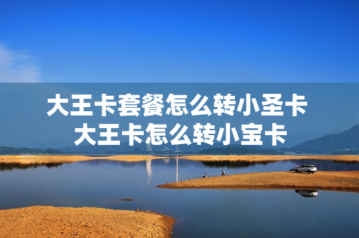 大王卡套餐怎么转小圣卡 大王卡怎么转小宝卡