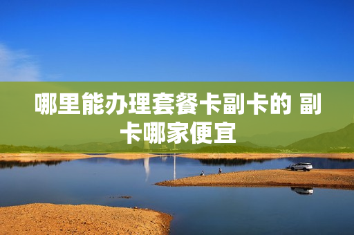 哪里能办理套餐卡副卡的 副卡哪家便宜