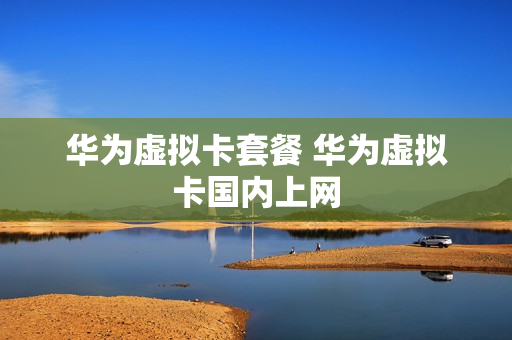 华为虚拟卡套餐 华为虚拟卡国内上网