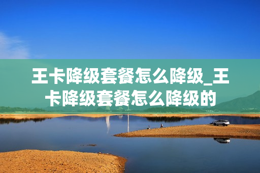 王卡降级套餐怎么降级_王卡降级套餐怎么降级的