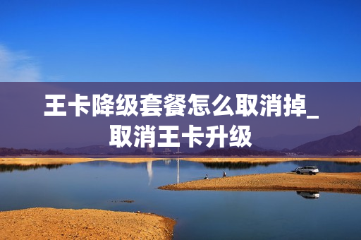 王卡降级套餐怎么取消掉_取消王卡升级