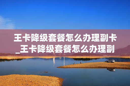 王卡降级套餐怎么办理副卡_王卡降级套餐怎么办理副卡的