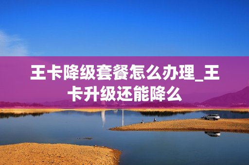 王卡降级套餐怎么办理_王卡升级还能降么