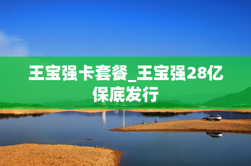 王宝强卡套餐_王宝强28亿保底发行