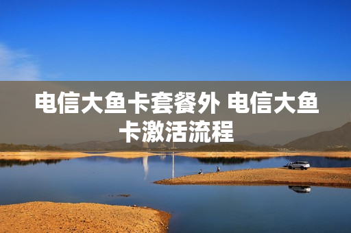 电信大鱼卡套餐外 电信大鱼卡激活流程
