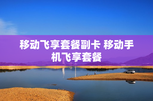移动飞享套餐副卡 移动手机飞享套餐
