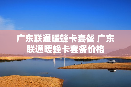 广东联通暖蜂卡套餐 广东联通暖蜂卡套餐价格