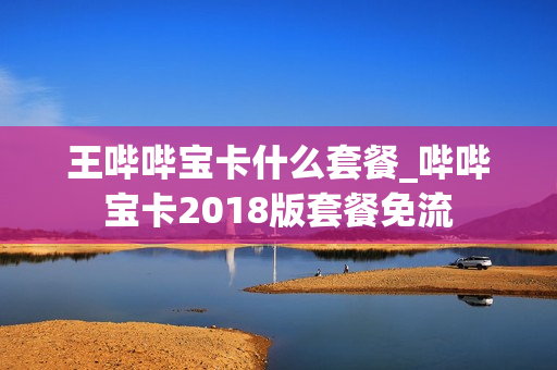 王哔哔宝卡什么套餐_哔哔宝卡2018版套餐免流