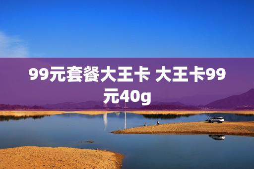 99元套餐大王卡 大王卡99元40g