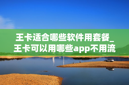 王卡适合哪些软件用套餐_王卡可以用哪些app不用流量
