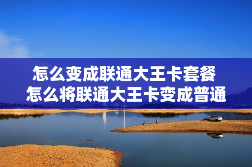 怎么变成联通大王卡套餐 怎么将联通大王卡变成普通卡