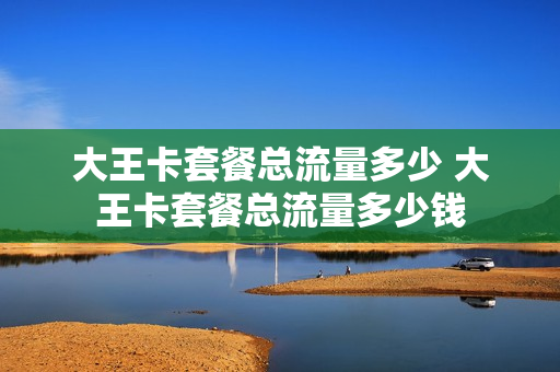 大王卡套餐总流量多少 大王卡套餐总流量多少钱
