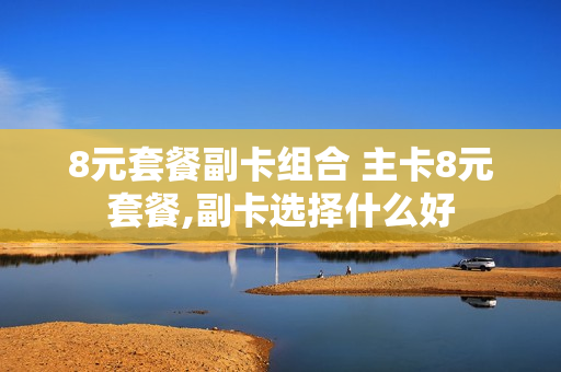 8元套餐副卡组合 主卡8元套餐,副卡选择什么好