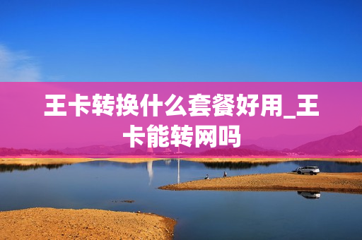 王卡转换什么套餐好用_王卡能转网吗