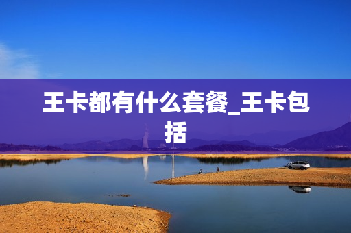 王卡都有什么套餐_王卡包括