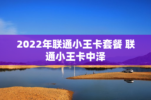 2022年联通小王卡套餐 联通小王卡中泽