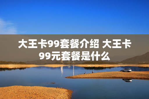 大王卡99套餐介绍 大王卡99元套餐是什么