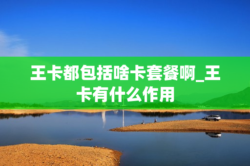 王卡都包括啥卡套餐啊_王卡有什么作用