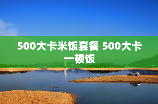 500大卡米饭套餐 500大卡一顿饭