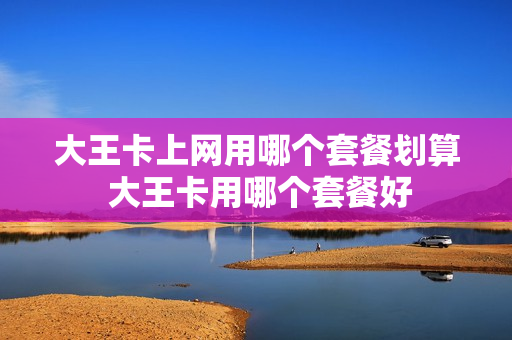 大王卡上网用哪个套餐划算 大王卡用哪个套餐好