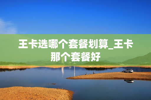 王卡选哪个套餐划算_王卡那个套餐好