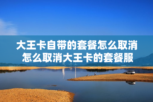 大王卡自带的套餐怎么取消 怎么取消大王卡的套餐服务