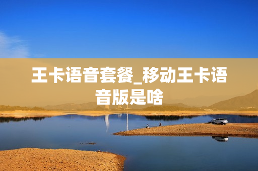 王卡语音套餐_移动王卡语音版是啥