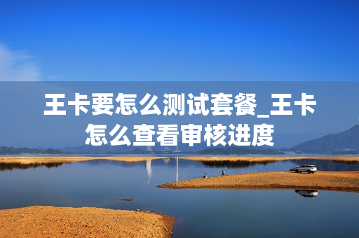 王卡要怎么测试套餐_王卡怎么查看审核进度