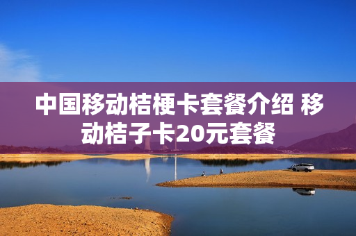 中国移动桔梗卡套餐介绍 移动桔子卡20元套餐
