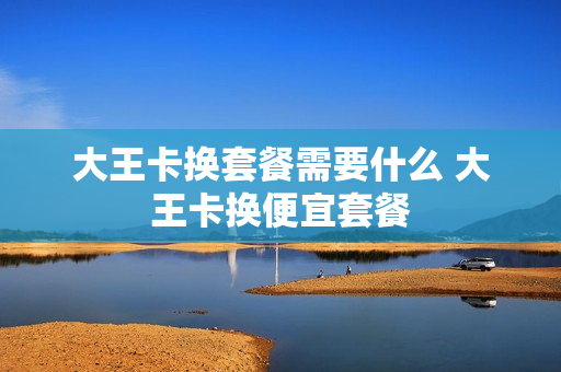 大王卡换套餐需要什么 大王卡换便宜套餐
