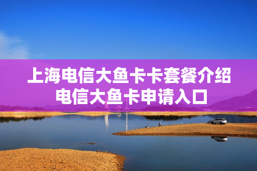 上海电信大鱼卡卡套餐介绍 电信大鱼卡申请入口