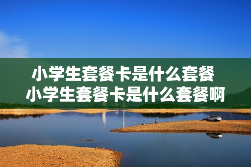 小学生套餐卡是什么套餐 小学生套餐卡是什么套餐啊