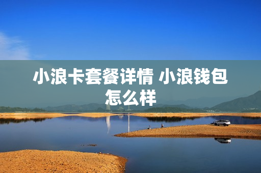小浪卡套餐详情 小浪钱包怎么样
