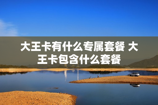 大王卡有什么专属套餐 大王卡包含什么套餐
