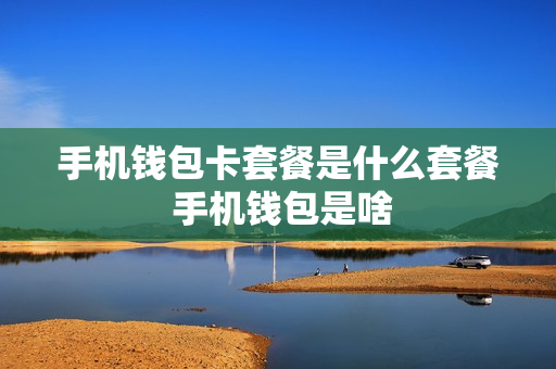 手机钱包卡套餐是什么套餐 手机钱包是啥