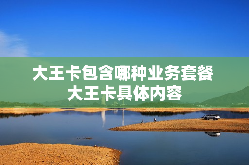 大王卡包含哪种业务套餐 大王卡具体内容