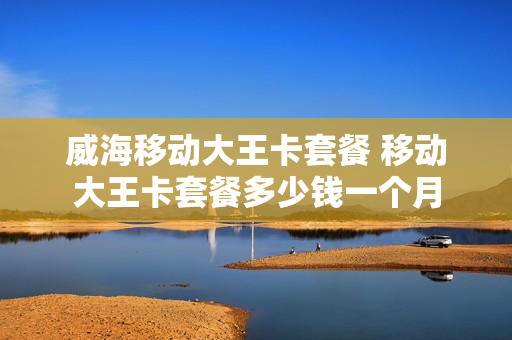 威海移动大王卡套餐 移动大王卡套餐多少钱一个月