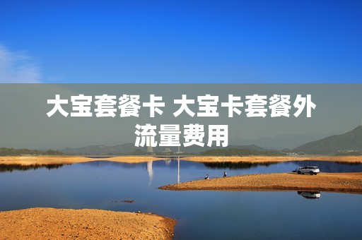 大宝套餐卡 大宝卡套餐外流量费用