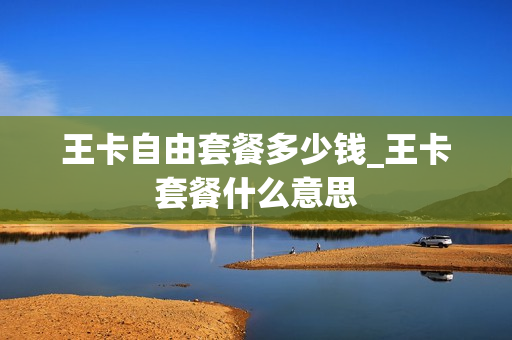 王卡自由套餐多少钱_王卡套餐什么意思