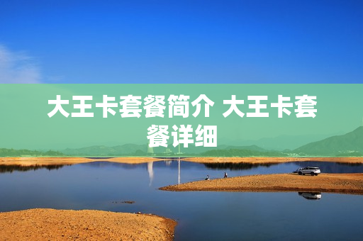 大王卡套餐简介 大王卡套餐详细