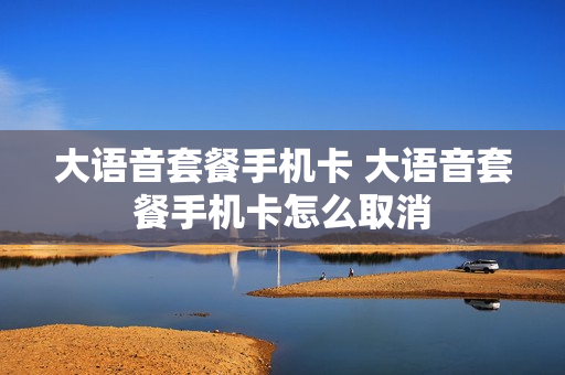 大语音套餐手机卡 大语音套餐手机卡怎么取消