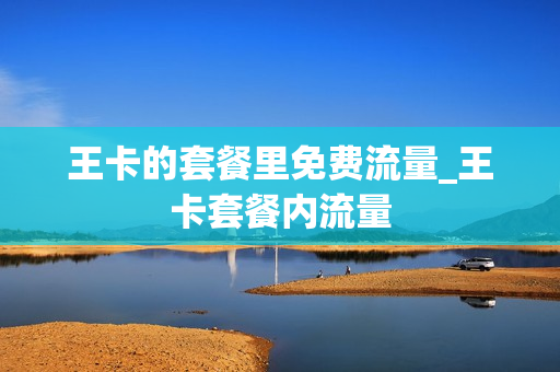 王卡的套餐里免费流量_王卡套餐内流量
