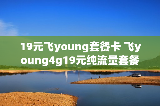 19元飞young套餐卡 飞young4g19元纯流量套餐