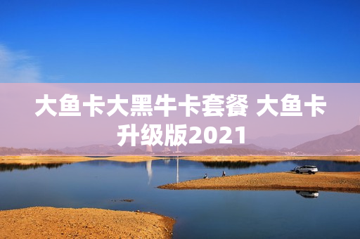 大鱼卡大黑牛卡套餐 大鱼卡升级版2021